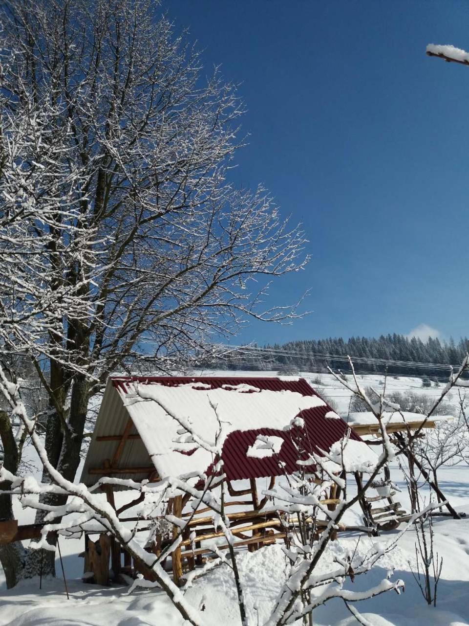 Gostynna Rodyna Hotel Izki Exterior photo